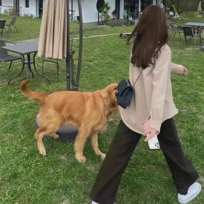 东京单身男子